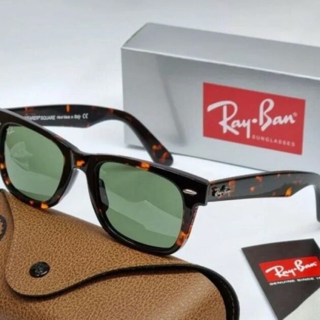 RAYBAN Wayferer  (Collection 2026)